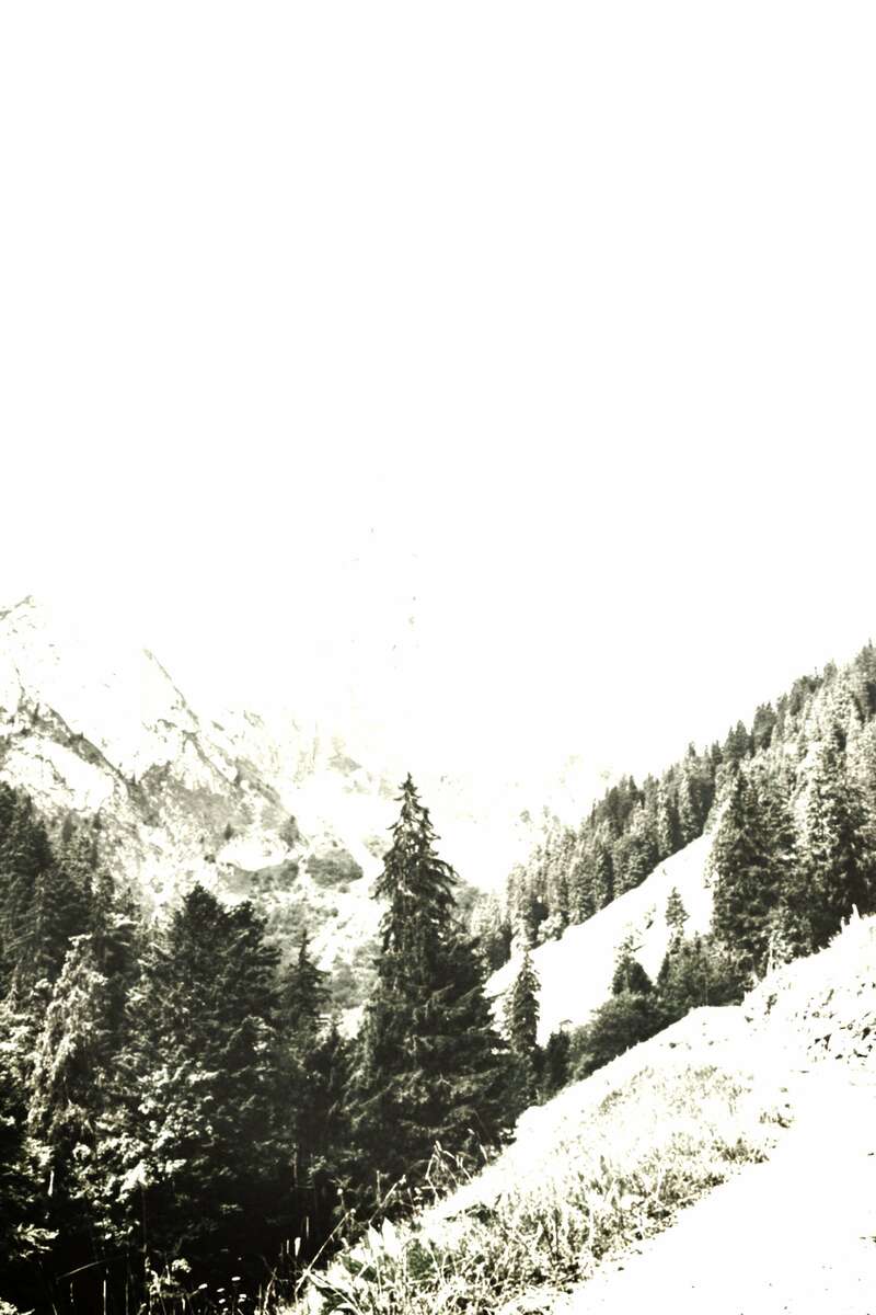 joel-jasmin-forestbird-tz5jmtjxrz4-unsplash20211126-515161-188l54n20211126-515161-2zq7yb